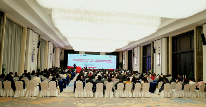 2025年全国少年儿童“双有”